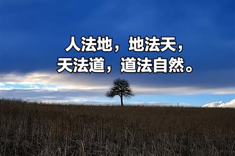 人法地|怎么理解「人法地，地法天，天法道，道法自然」这句话？